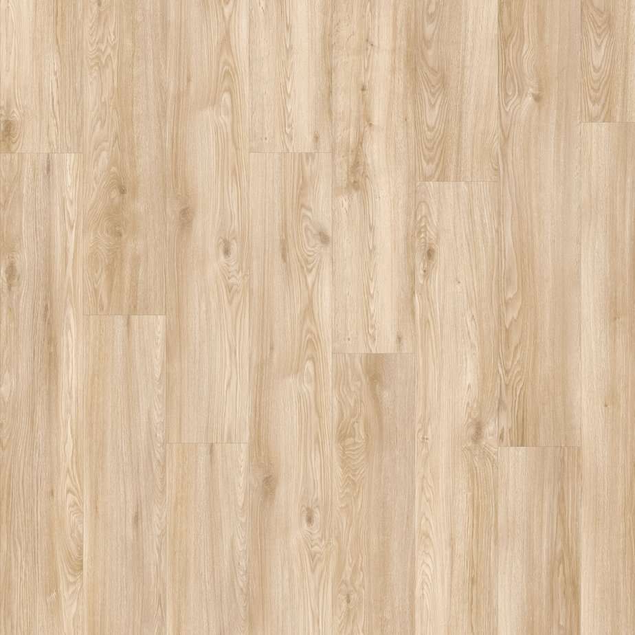 Chapman Oak 24321